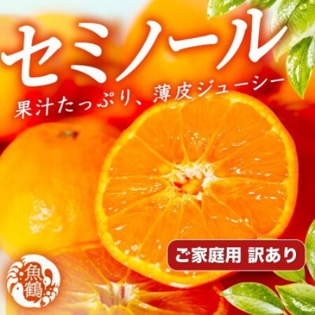 [ご家庭用訳あり]ジューシー柑橘 セミノールオレンジ 5kg[配送不可地域:離島]
