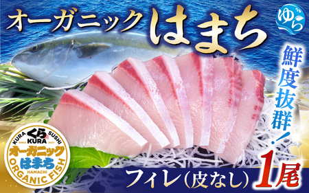 ハマチ [くら寿司] オーガニックはまち 1尾 フィレ(皮無し)※2025年12月下旬〜順次発送[kura004]
