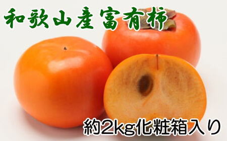 [厳選・産直]和歌山産の富有柿約2kg(化粧箱入り)(2L〜4Lサイズ)★2024年11月頃より順次発送[TM59]