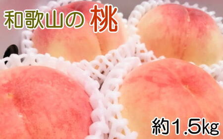 [産直・人気の特産品]和歌山の桃 約1.5kg★2024年6月下旬頃より順次発送★[TM92][桃ももモモフルーツ桃ももモモフルーツ桃ももモモフルーツ桃ももモモフルーツ桃ももモモフルーツ桃ももモモフルーツ桃ももモモフルーツ桃ももモモフルーツ桃ももモモフルーツ桃ももモモフルーツ桃ももモモフルーツ桃ももモモフルーツ桃ももモモフルーツ桃ももモモフルーツ桃ももモモフルーツ桃ももモモフルーツ桃ももモモフルーツ桃ももモモフルーツ桃ももモモフルーツ桃ももモモフルーツ桃ももモモフルーツ桃ももモモフルーツ桃ももモモフルー]