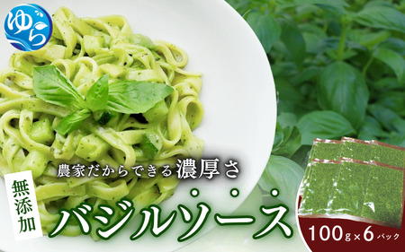 農家だからできる濃厚『無添加　バジルソース』 パック 100ｇ×6【fmlb046】