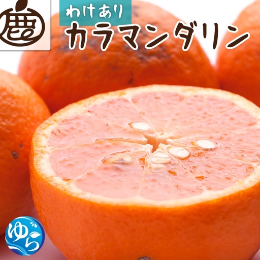 カラマンダリン 家庭用 5kg+250g(傷み補償分)/ カラオレンジ みかん 南津海 なつみ 訳あり 和歌山 有田 柑橘 晩柑 ※2026年4月中旬〜5月下旬に順次発送 ※北海道・沖縄・離島への配送不可[ikd015-c-5C]