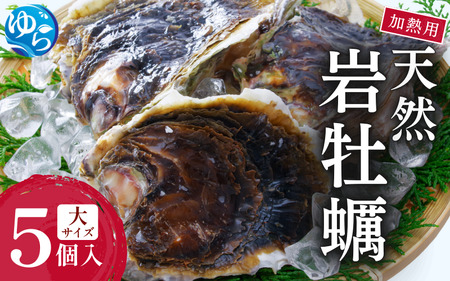天然岩牡蠣（加熱食用）大サイズ5個入（2.5kg以上）【skmn004】