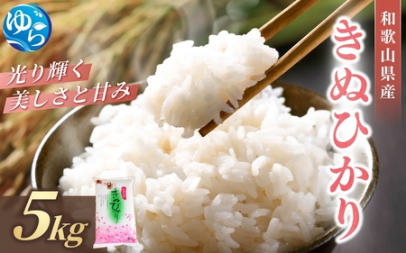 和歌山県産 キヌヒカリ 5kg(2025年産)令和7年産 ※2025年9月中旬より順次発送予定 / 米 白米 精米 こめ お米 きぬひかり[sml101E]