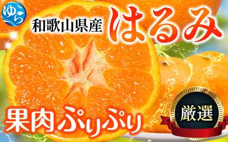 ＜先行予約＞厳選はるみ5kg+250g（傷み補償分）＜2月より発送＞デコポンの姉妹品種 新食感春みかん【ikd194B】