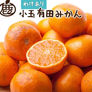 [11月より発送]家庭用 小玉な有田みかん5kg+150g(傷み補償分)[わけあり・訳あり][光センサー選果]