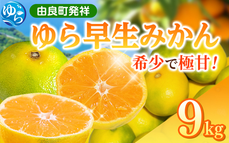 [早生みかんの逸品] ゆら早生みかん 9kg ※2025年10月中旬〜順次発送[kzmn006]