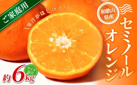 yƒpz X{_̎I Z~m[IW 6kg a̎RY TCY y2026N4{`5{ɏzyRN36zymrmt036z