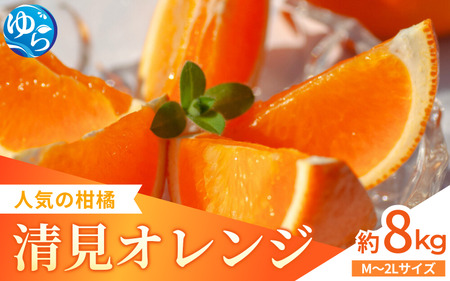家庭用 清見オレンジ 約8kg [来シーズン先行予約]※2026年3月上中旬〜順次発送 /みかん 晩柑 人気 柑橘 スマイルカット 蜜柑 フルーツ 果物 くだもの 食品 人気 おすすめ 送料無料 産地直送 和歌山県 由良町 [kzmn012]