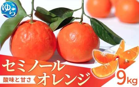 セミノール 9kg[来シーズン先行予約]※2026年4月上中旬より順次発送 / 和歌山県 柑橘 みかん 蜜柑 フルーツ 果物 くだもの 食品 人気 由良町 晩柑 おすすめ 送料無料 産地直送[kzmn014]