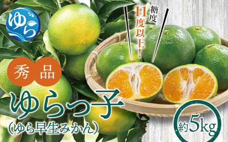[糖度11度以上!]ゆら早生みかん「ゆらっ子」5kg ※2025年10月初旬頃〜順次発送予定(お届け日指定不可) / 早生 ゆら早生 極早生 みかん 由良町 和歌山 早生みかん 完熟 フルーツ 果物 柑橘[jahd002]