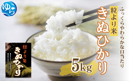 ≪受付終了間近≫[令和6年度産 米]きぬひかり5kg ※お届け日指定不可※ / 白米 お米 キヌヒカリ 由良町 精米 和歌山 2024年度 ごはん ご飯 米 こめ[jahd008]