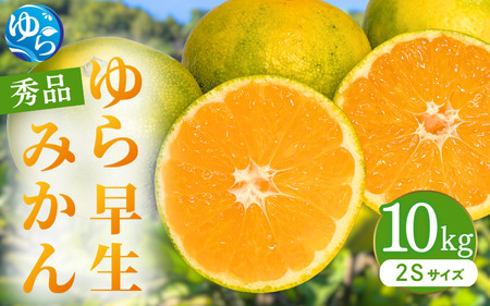 ys\z瑁݂ Gi 2STCY 10kg p 2025N10ɏ\ / 瑁 k ɑ t[c ʕ  Hi lC   Rǒ yksmt004z