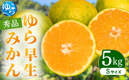 ys\z瑁݂ Gi STCY 5kg p 2025N10ɏ\ / 瑁 k ɑ t[c ʕ  Hi lC   Rǒ yksmt005z