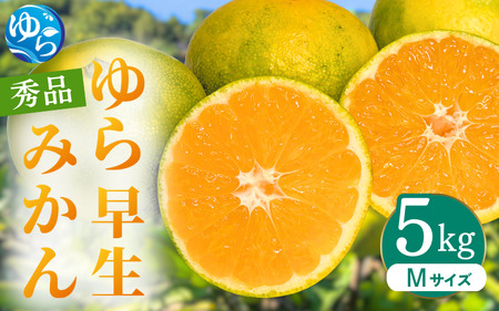ys\z瑁݂ Gi MTCY 5kg p2025N10ɏ\ / 瑁 k ɑ t[c ʕ  Hi lC   Rǒ yksmt007z