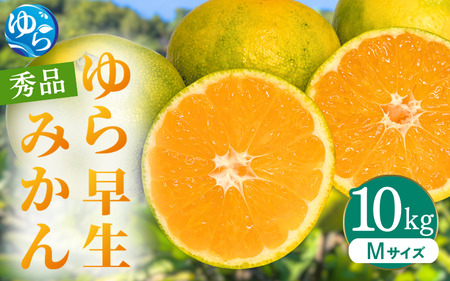 ys\z瑁݂ Gi MTCY 10kg p 2025N10ɏ\ / 瑁 k ɑ t[c ʕ  Hi lC   Rǒ yksmt008z