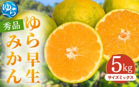 [先行予約]ゆら早生みかん 秀品 サイズミックス 5kg 贈答用※2025年10月頃に順次発送予定 / ゆら早生 柑橘 極早生 フルーツ 果物 くだもの 食品 人気 おすすめ 送料無料 由良町 [ksmt011]