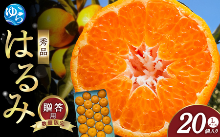 yV[Ys\z͂ a̎R݂ Gi LTCY 20 p 2026N1{ɏ\ / ͂ k 蕨 t[c ʕ  Hi lC   R