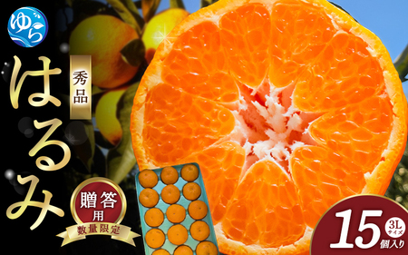 yV[Ys\z͂ a̎R݂ Gi 3LTCY 15 p 2026N1{ɏ\ / ͂ k 蕨 t[c ʕ  Hi lC   R