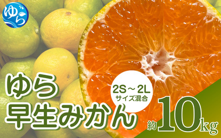 [先行予約]農家直送 ゆら早生みかん 約10kg 2S〜2Lサイズ混合 ※2025年10月中旬〜10月下旬順次発送 / 農家直送 くだもの 果実 柑橘 果物 フルーツ 国産 和歌山県 由良町 ご家庭用 人気 おすすめ [nktn014]