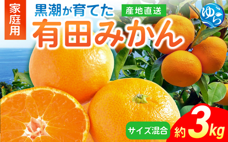 ys\zĂLc݂iƒpETCYj3kgm2025N11{珇\ ͂ԑюwn /  k ~J t[c ʕ  Hi lC 
