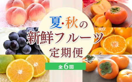 [定期便全6回]夏・秋の新鮮フルーツ定期便[tec-tkb001]