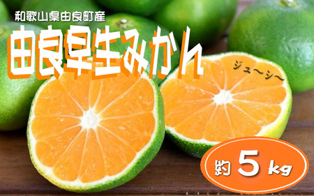 ys\za̎RRǒY RǑ݂ 5kg 󂠂 LY ƒp TCYysml135z