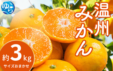[先行予約]温州みかん 約3kg (サイズおまかせ)[2025年12月中旬から順次発送予定]※北海道・沖縄・離島配送不可 / ミカン 蜜柑 フルーツ 果物 柑橘 果実 由良町 国産 産地直送 和歌山県[eiw014]