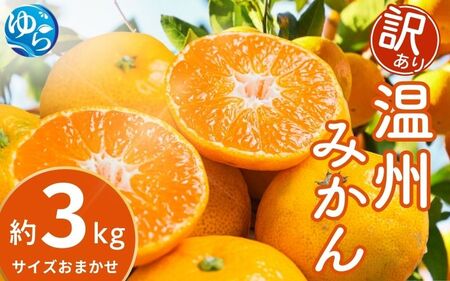 [先行予約][訳あり]温州みかん 約3kg (サイズおまかせ)[2025年12月中旬から順次発送予定]※北海道・沖縄・離島配送不可 / ミカン 蜜柑 フルーツ ワケあり 果物 柑橘 果実 由良町 国産 産地直送 和歌山県[eiw016]