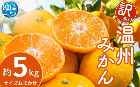 ys\zy󂠂zB݂ 5kg (TCY܂)y2025N12{珇\zkCEEzs / ~J  t[c P ʕ k ʎ Rǒ Y