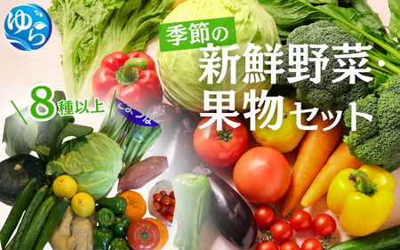 季節の新鮮野菜・果物セット(8種以上)[夏季]※北海道・沖縄・離島配送不可 / 期間限定 由良町 冷蔵 詰合せ フルーツ くだもの 食品 おすすめ 産地直送[eiw027]