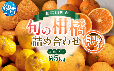 _V[Ys\^y󂠂z{̊klߍ킹i3ȏj5kgy2026N2{珇\zkCEEzs / ݂  t[c ʕ  Rǒ l