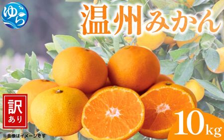 󂠂 B݂ 10kg 2025N11{`oׁykwgc004-11z