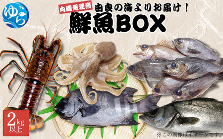 鮮魚BOX 内臓処理済み 2kg以上 (魚種おまかせ) / 魚 お魚 さかな 食品 海の幸 海鮮 カイセン 塩焼き 煮付け 内臓処理済み 冷蔵 海鮮類 焼き魚 タコ スズキ メバル 和歌山県 由良町 [skmn025]