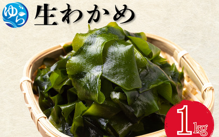 生わかめ 1kg[来シーズン先行予約]※2026年2月上旬頃〜順次発送予定 / 食品 海の幸 海鮮 カイセン 海鮮類 ワカメ 生ワカメ 酢の物 サラダ 簡単調理 お味噌汁 和歌山県 由良町 [skmn028]