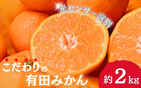 早期先行予約! こだわりの有田みかん 約2kg+250g(傷み補償分) [ご家庭用][11月発送] 光センサー選別品 農家直送品 ※北海道・沖縄・離島配送不可 / みかん 有田みかん 温州みかん 柑橘 果物 くだもの フルーツ 有田 和歌山 和歌山県産 産地直送 [nuk159-11]