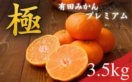 _ZT[Iʁ^ Lc݂v~A 3.5kgyZT[ xIʕiz2S`LTCY L@엿100% 2025N11{`2026N1{ɏ\ kCEEւ̔z