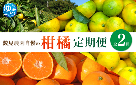 [定期便全2回]みかん ≪数見農園自慢の柑橘定期便≫ / 定期便 果物 柑橘 由良町 フルーツ くだもの 産地直送 数量限定 ミカン ゆら早生 ゆら早生みかん ゆらみかん 温州みかん 和歌山[kzmn-tkb003]