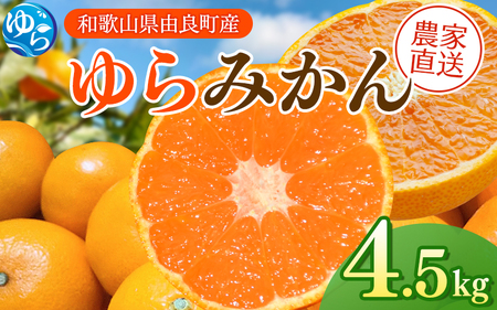 ݂ 4.5kg / ݂ Rǂ݂ B݂ k݂ a̎R݂ 2025N1210`25\ ykzmn018z