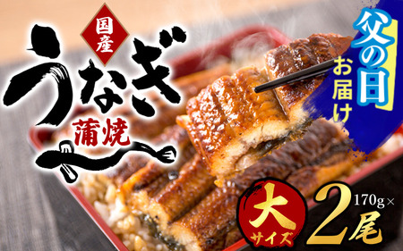 [父の日]大型サイズ ふっくら柔らか国産うなぎ蒲焼き 2尾 / ウナギ 鰻 うなぎ蒲焼 ひつまぶし うな丼 うな重 国産 プレゼント 贈答 父の日[uot302-pp]