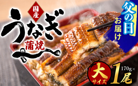 [父の日]大型サイズふっくら柔らか国産うなぎ蒲焼き1尾 約2人前 化粧箱入 / ウナギ 鰻 うなぎ蒲焼 ひつまぶし うな丼 うな重 国産 プレゼント 贈答 父の日[uot714-pp]