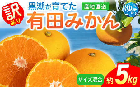 ys\zLc݂i󂠂ETCYj5kg2025N11{珇\i͂ԑюwj /  k ~J t[c ʕ  Hi lC  Yn