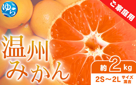 [先行予約]家庭用 温州みかん 約2kg ※2025年11月中旬頃〜2025年12月中旬頃に順次発送 / 農家直送 くだもの 果実 柑橘 果物 フルーツ 国産 和歌山県 由良町 ご家庭用 人気 おすすめ[nktn016]