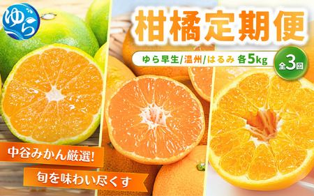 [柑橘 定期便]中谷みかん厳選!柑橘定期便全3回(ゆら早生みかん・温州みかん・はるみ) / くだもの 果実 果物 フルーツ 国産 和歌山県 由良町 人気 おすすめ かんきつ おれんじ オレンジ 早生 ゆら早生 温州 はるみ 由良[nktn-tkb001]