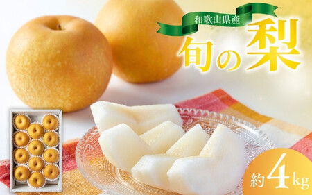 ys\tza̎RY̔ 4kg i10`13ʓjy2025N8{珇\z /  t[c Ȃ iV ʕ Ynymat102Az