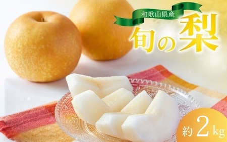 [先行予約受付]和歌山県産の美味しい梨 約2kg (6〜8玉入り)[2025年8月中旬頃から順次発送予定] / くだもの フルーツ なし ナシ 果物 産地直送[mat103A]