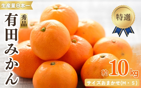 特選紀州有田みかん 秀品 約10kg サイズおまかせ(М・S) ※2025年12月上旬〜下旬頃発送予定(お届け日指定不可)[sml915]