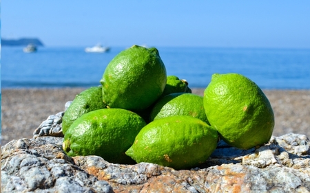 ys\zO[ 7kg TCY召 a̎RYy2025N10{菇\z /  m[bNX k Yn Rǒ a̎Ryuttn015z