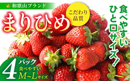 [先行予約]まりひめイチゴ4パック 食べやすいひと口サイズ M〜L(15粒〜20粒入×4パック)[2026年1月初旬〜3月下旬頃に順次発送](お届け日指定不可)/ いちご 苺 まりひめ 和歌山 フルーツ[kgr034]