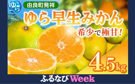 [ふるなびWEEK対象]ゆら早生みかん 4.5kg ※2025年10月中旬頃より順次発送予定 / みかん みかん みかん 早生 早生 和歌山 由良 産地直送 FN-Limited[kzmn005-fw]